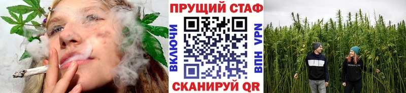 Где купить наркоту Сарапул A-PVP  МЕТАДОН  ГАШ  Бошки Шишки  КОКАИН 