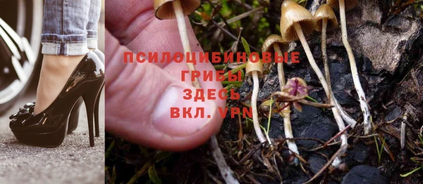 дмт Покров